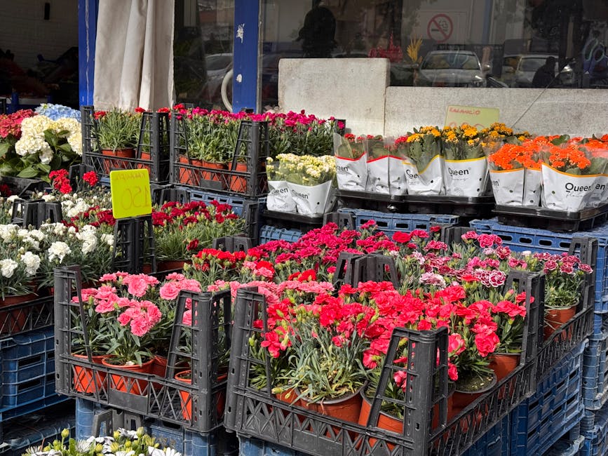 Outside flower shop display featuring various potted flowering plants arranged on black plastic crates. Prominent in the foreground are pink and deep red carnations with ruffled petals, set in orange